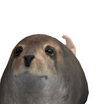 @previtir