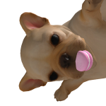 @aloriuhs