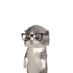@hatooqi