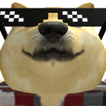 @snnozzy2acc