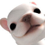 @Studentbear123