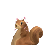 @kk2floppy