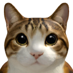 @z_hs