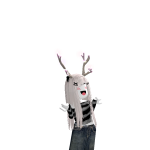 @alaska234542