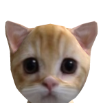@poopybuttferrari