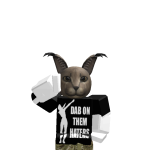 @RAIDET19