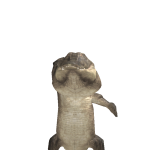 @silverc323po