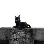 @catguy0080