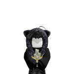 @user373893