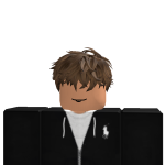 @RoblixMzykPro
