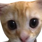 @Sararoblox3452