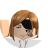 XxStupid_PersanxX