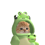@crazygamer_0606