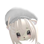 @dokkipoo