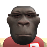 @agentpoindexter