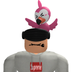 @TheOuterWorldz