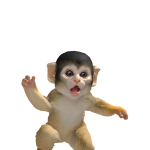 @Nicolasfl19