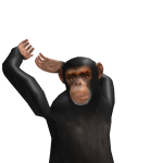 Bacon_hack