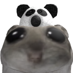 @lmw0607