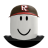 Headshot of roblox_user_133864634