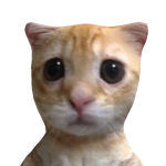 @iSvdney