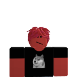 @finmclego12