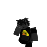 @N1k0s_13