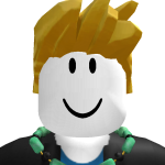 ninjatigy