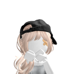 @snowflow_er