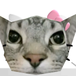 @SandFrog7