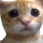 @APAMEHH