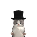 @Groot1234_1