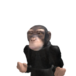 @andrew163232