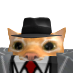 @kittyroblox0315