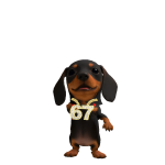 @gekogamer257389