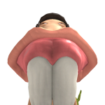 @Sorbonical