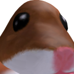 @popolliquie