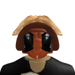 @5529funhouse