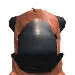 @ReXy26578