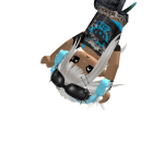 @gr3mL0N