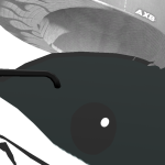 @Cr4zy_FN
