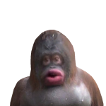 @Crynpo