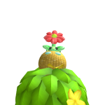 @turtutre
