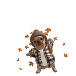 Pibble