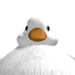 @tasdfguu