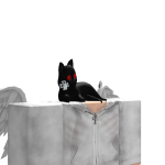 @xnvcrmt
