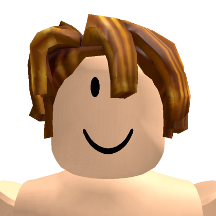 Roblox profile picture for @pratinav1