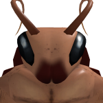 @oneponchmeo3