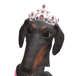 @BackFlippinSloth_Dog