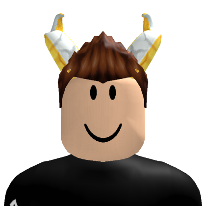 Roblox profile picture for @Kingu_233